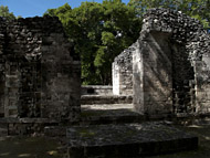Temple XI at Chicanna - chicanna mayan ruins,chicanna mayan temple,mayan temple pictures,mayan ruins photos